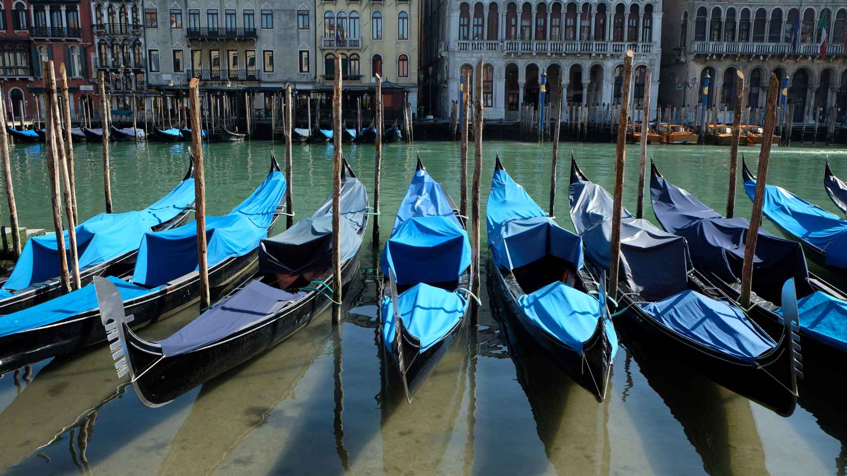 Una vista de este miércoles de los canales de Venecia con agua clara por la menor cantidad de turistas, lanchas motoras y contaminación.