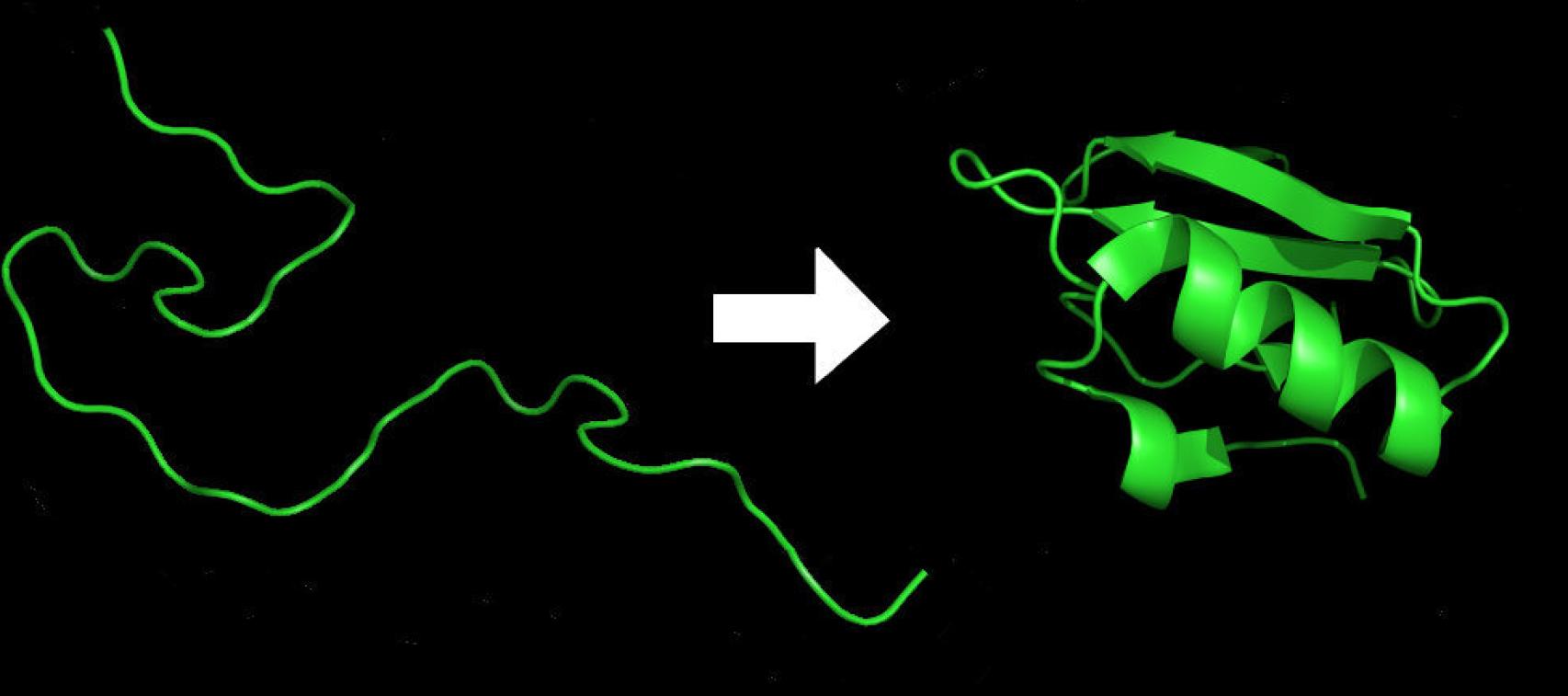 Plegamiento de proteínas simulado por ordenador