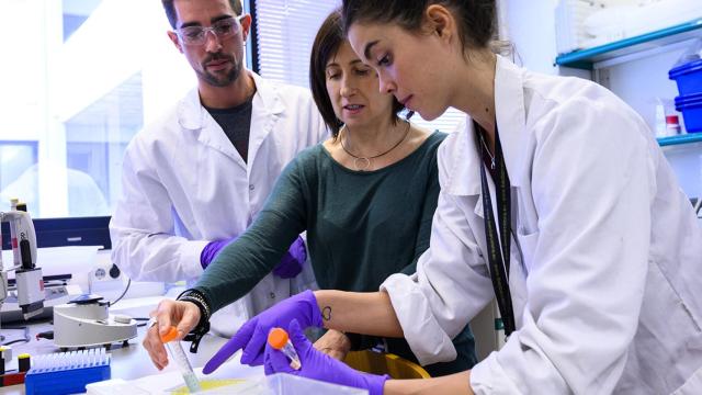 Investigadores del CSIC en el Laboratorio.