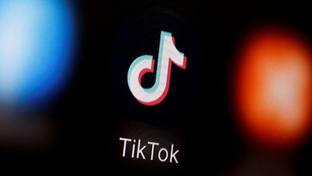 FILE PHOTO: A TikTok logo is displayed on a smartphone in this illustration