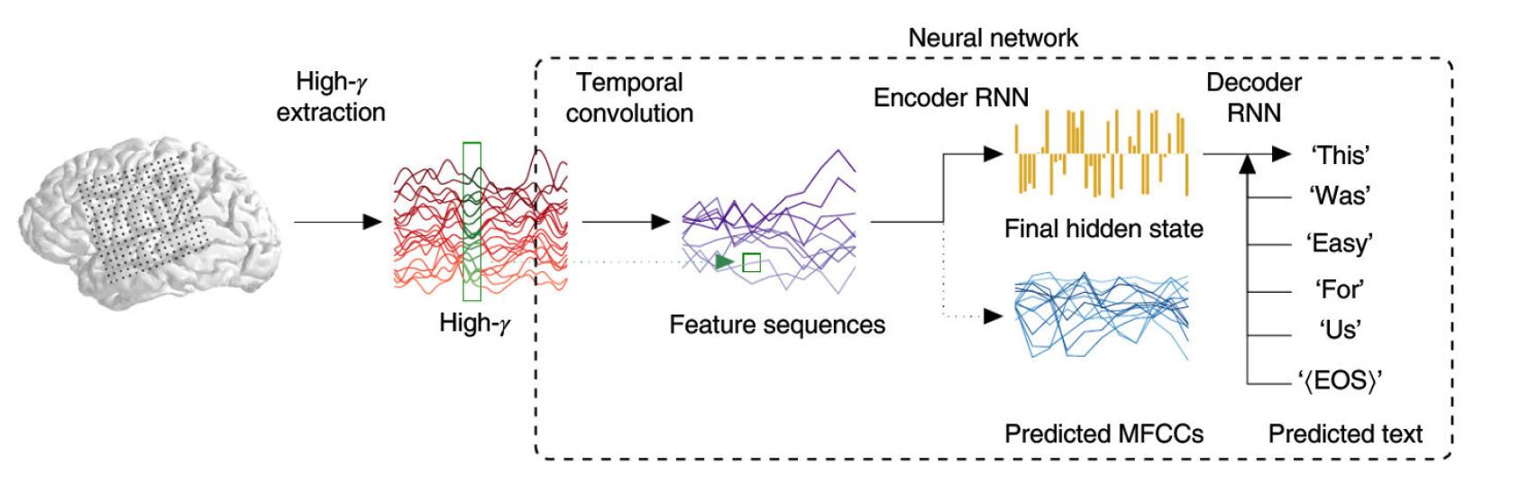 El sistema interpreta la actividad cerebral y la decodifica en texto predictivo