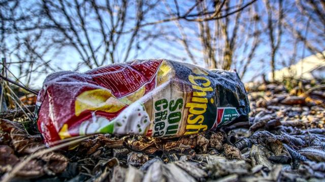 Una imagen de archivo de una bolsa abandonada en la naturaleza.