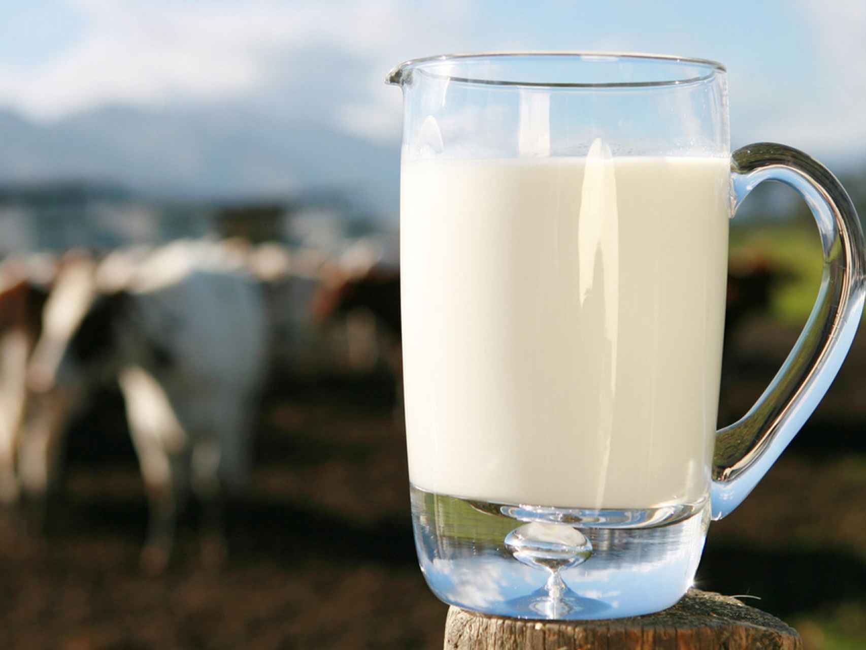 De una vez por todas, ¿realmente es tan mala la leche de vaca como la  pintan?