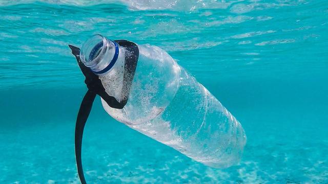 Estos bioplásticos se degradan en agua dulce en menos de dos meses