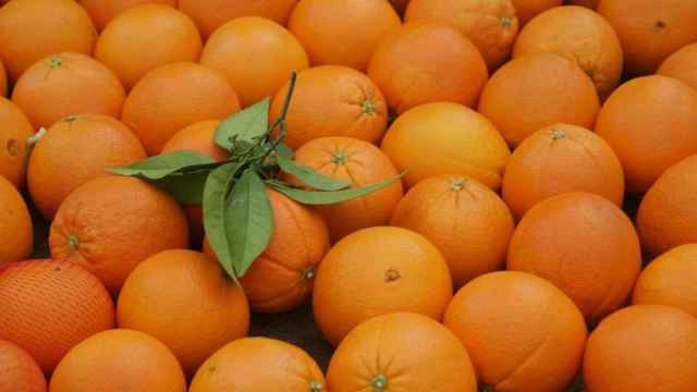 Varias naranjas expuestas en el supermercado.