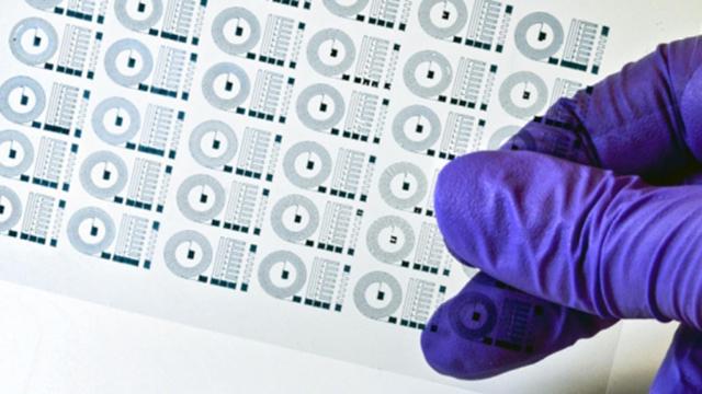 Uno de los electrodos neuronales flexibles desarrollados por este equipo de investigación.