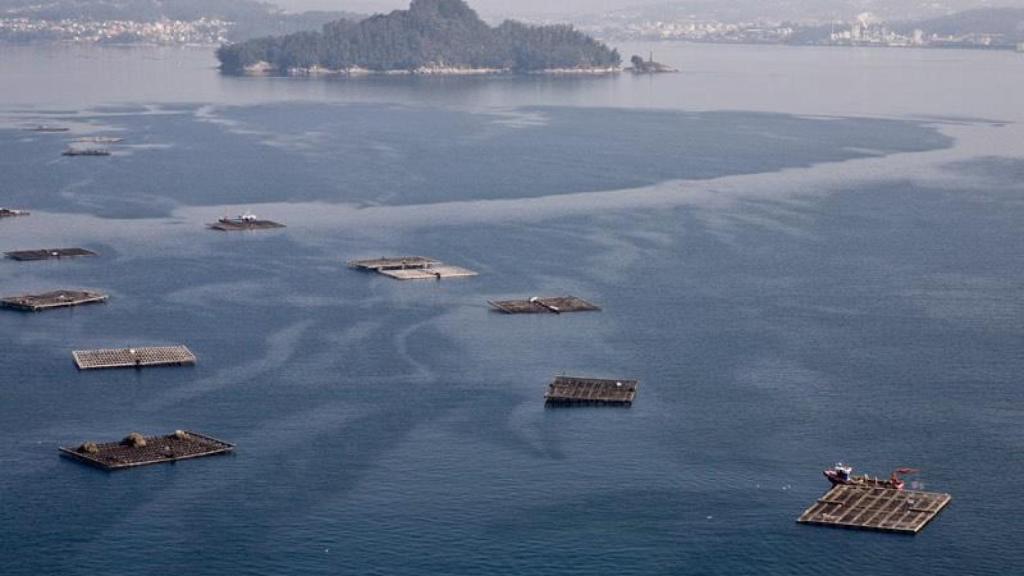 Isla de Tambo