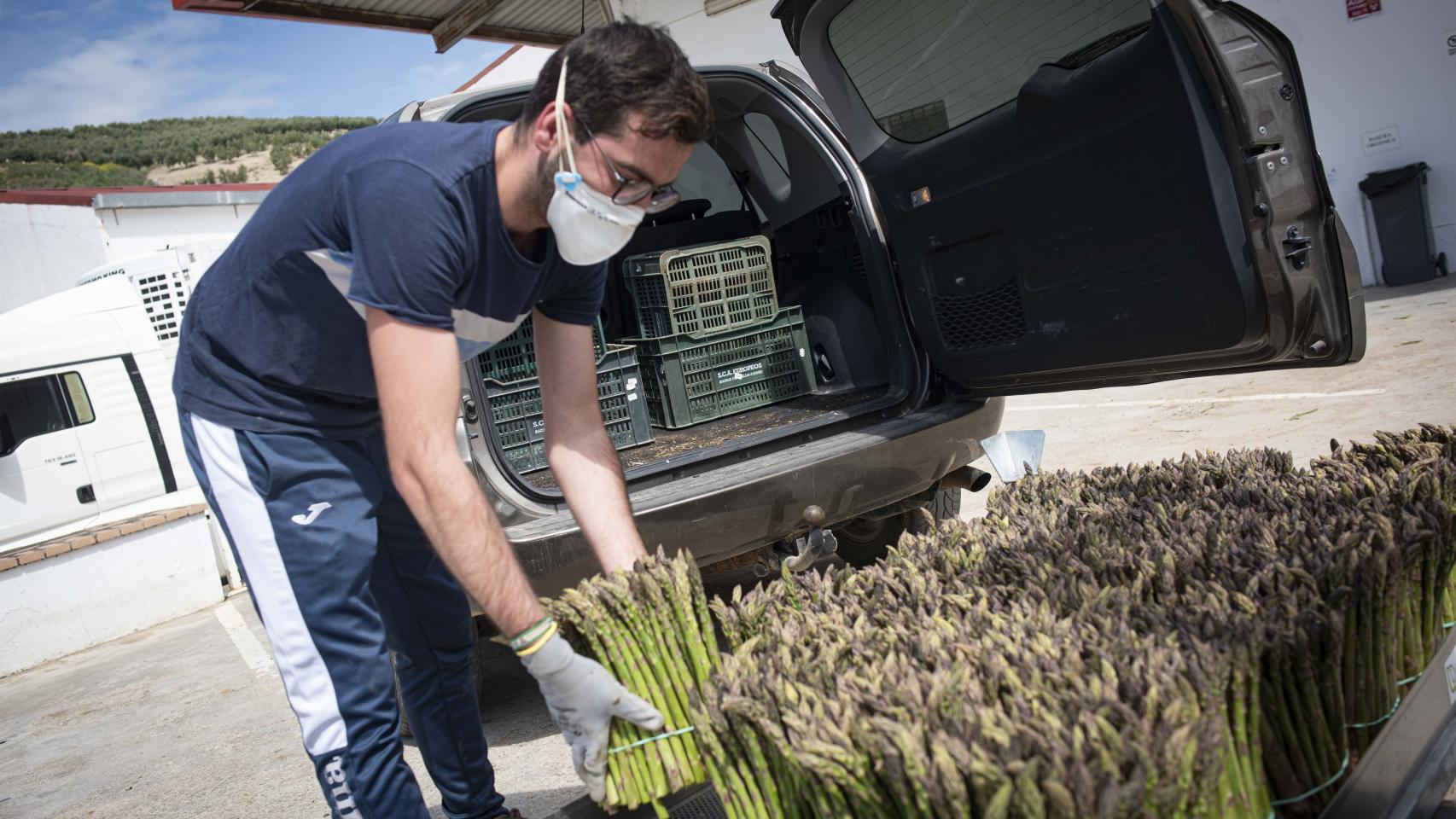 Los temporeros sin el pan del invierno