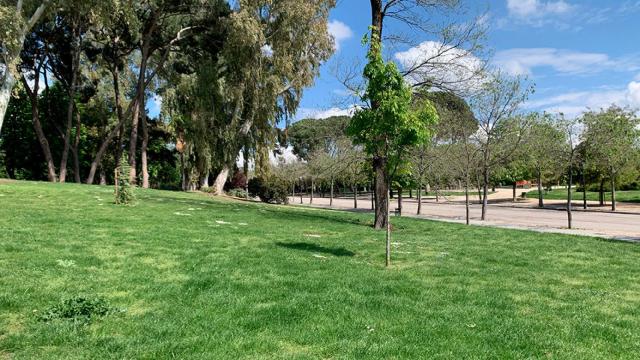 El Retiro como nunca antes lo habías visto