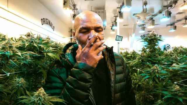 Mike Tyson, en su rancho fumando marihuana