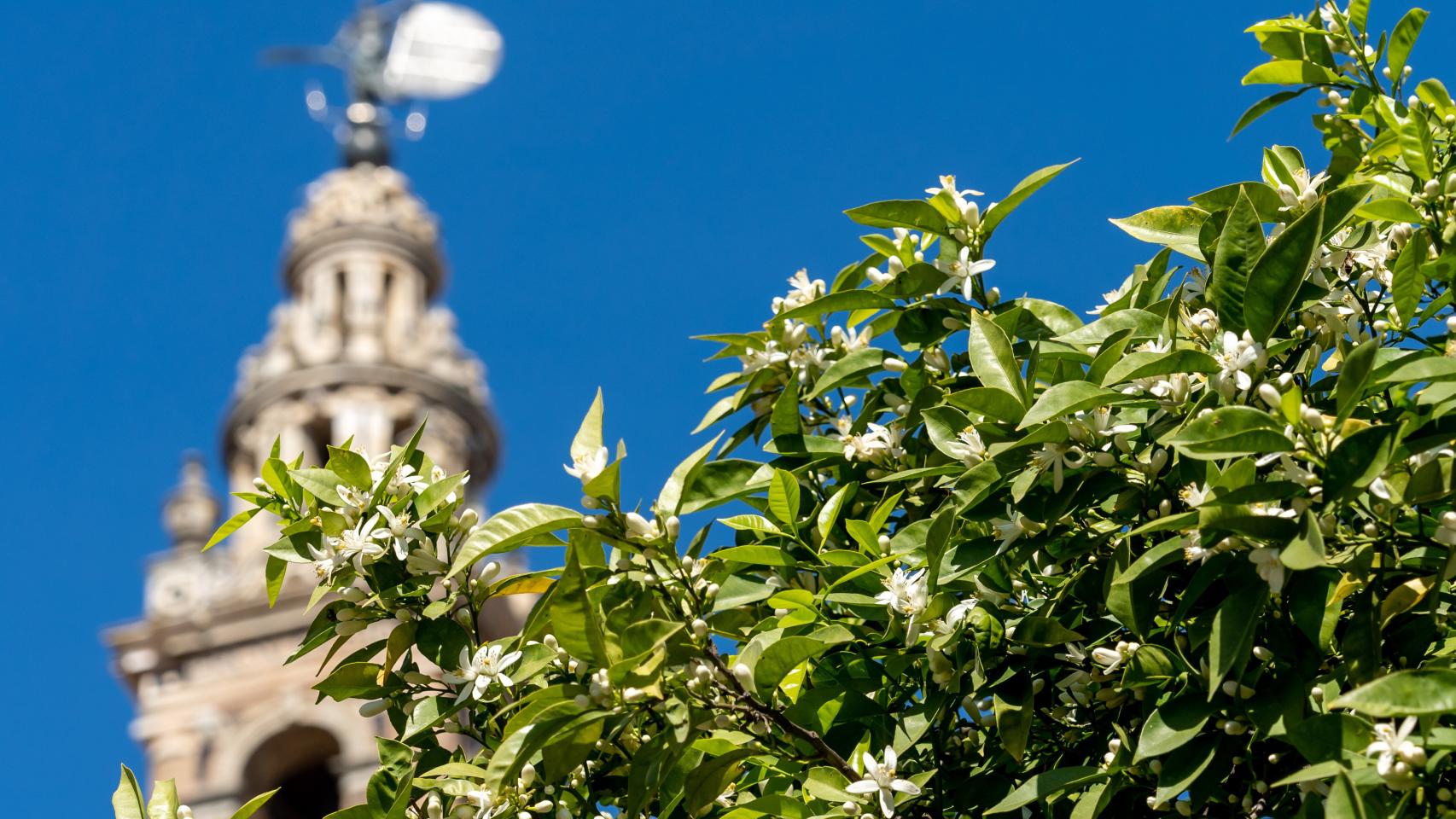 Castilla y León