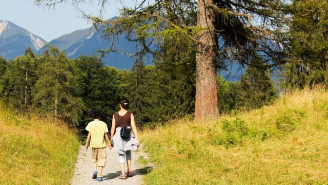 Imagen para paseo con niños naturaleza