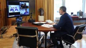 El rey Felipe VI en la videoconferencia con los representantes del sector ovino y caprino