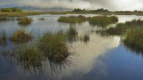 Las Tablas de Daimiel