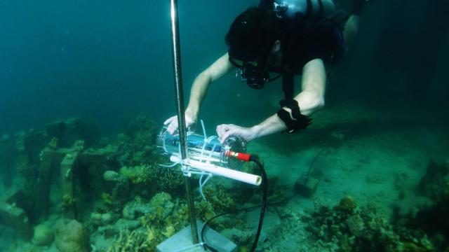 El  proyecto CORaiL se está desarrollando en el arrecife que rodea la isla de Pangatalan (Filipinas).