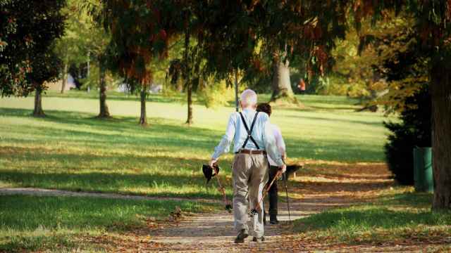 Paseo parque personas mayores