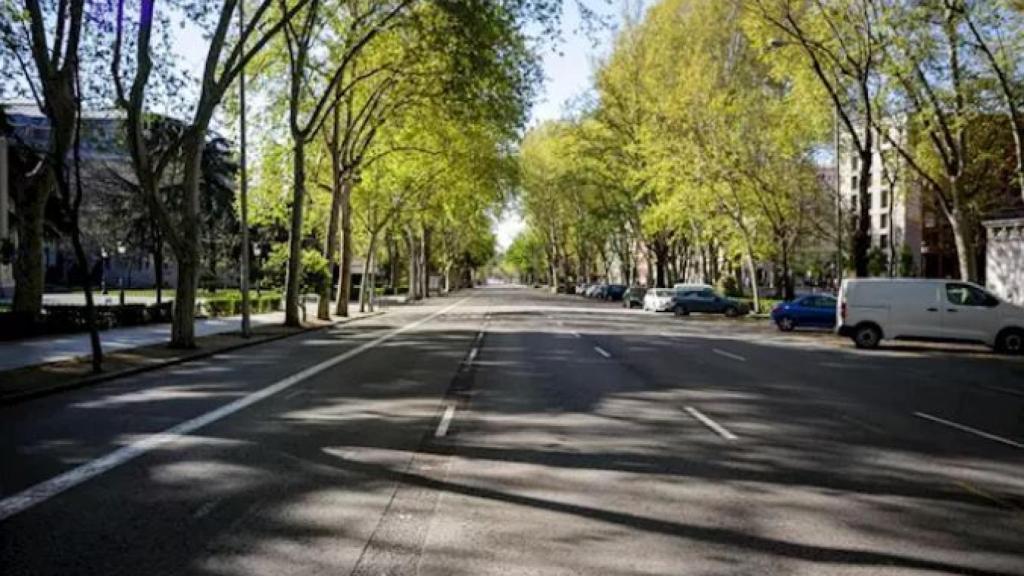 El Paseo del Prado, desierto, a la altura del Museo del Prado, en Madrid (España).