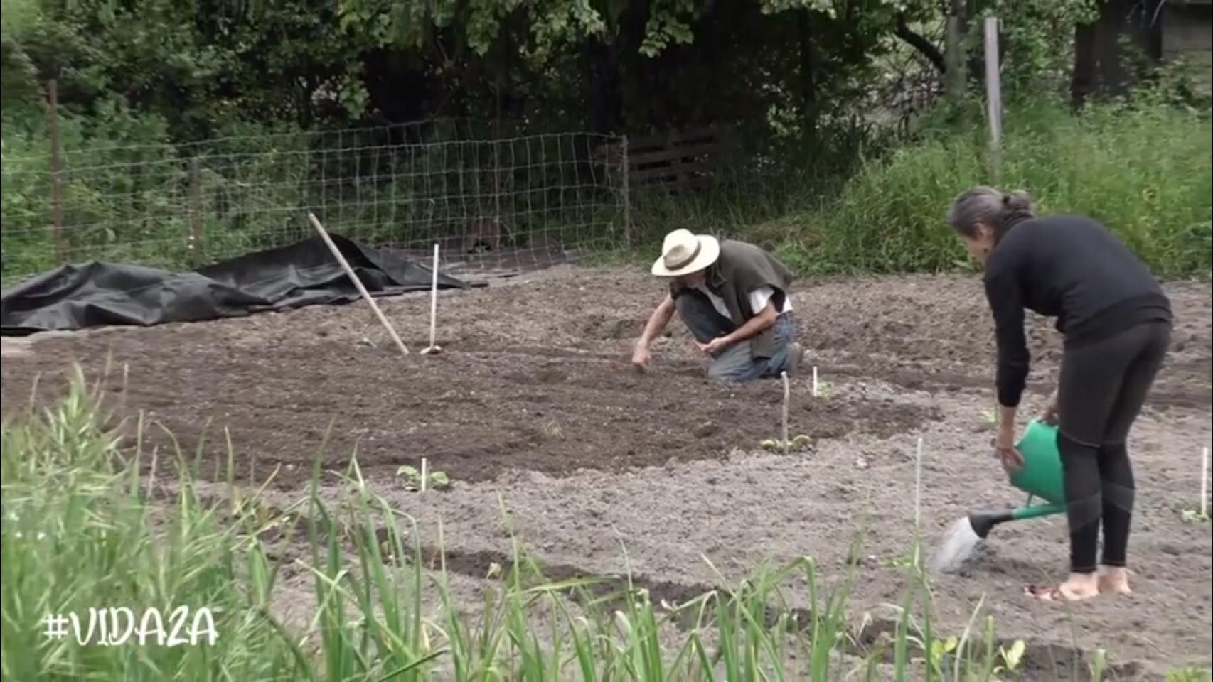 Video vidaza