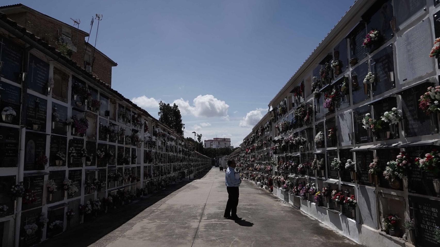 Imagen del cementerio de San Rafael (Córdoba).