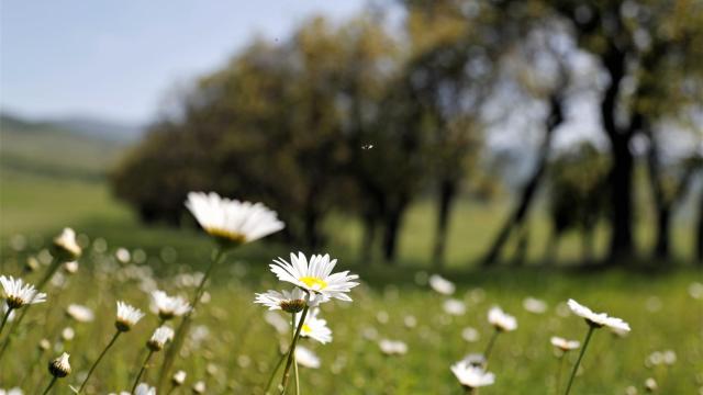 Tiempo de primavera. EFE.