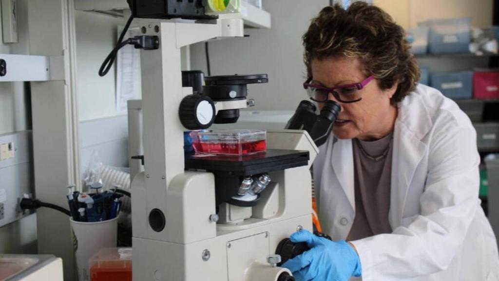La doctora Eleanor Fish trabajando en su laboratorio en la Red de Salud de la Universidad de Toronto