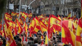 Manifestación de Vox en Madrid