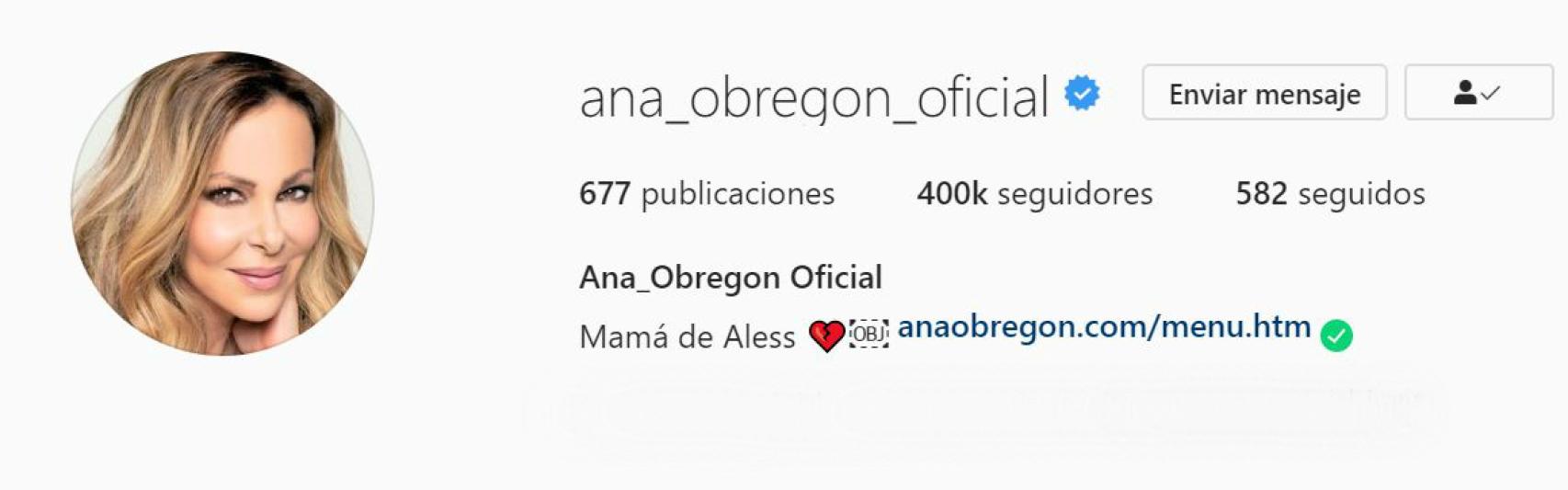 Captura de la nueva biografía de Ana Obregón en su perfil de Instagram.