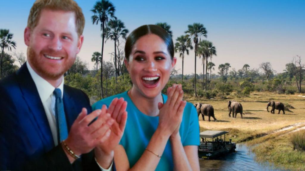 Meghan y Harry, en un montaje de Jaleos.