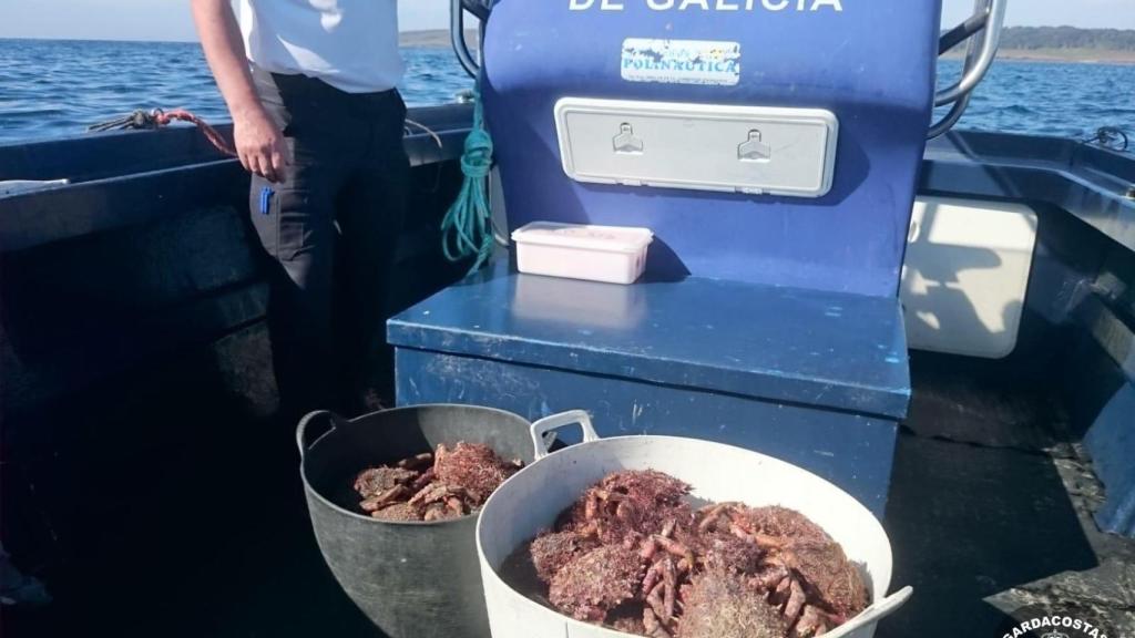 Requisados casi 50 kilos de centolla ovada y sin identificar en Cabo Touriñán, en Muxía