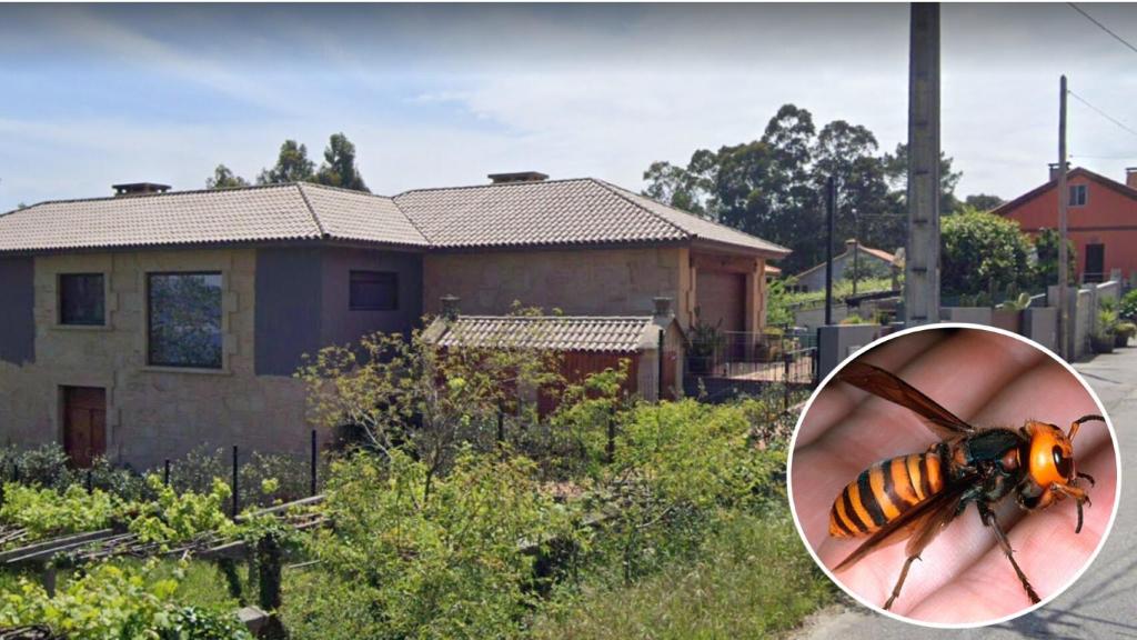 La rúa da Serpe, en Raxó (Poio), lugar donde falleció Manolo por la picadura de una avispa velutina.