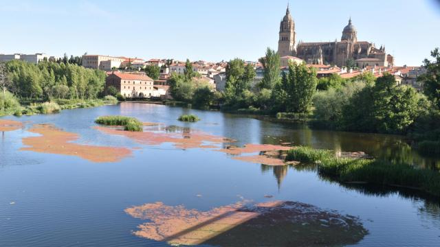 Castilla y León