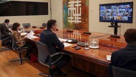 Pedro Sánchez en videoconferencia de presidentes con los líderes autonómicos.