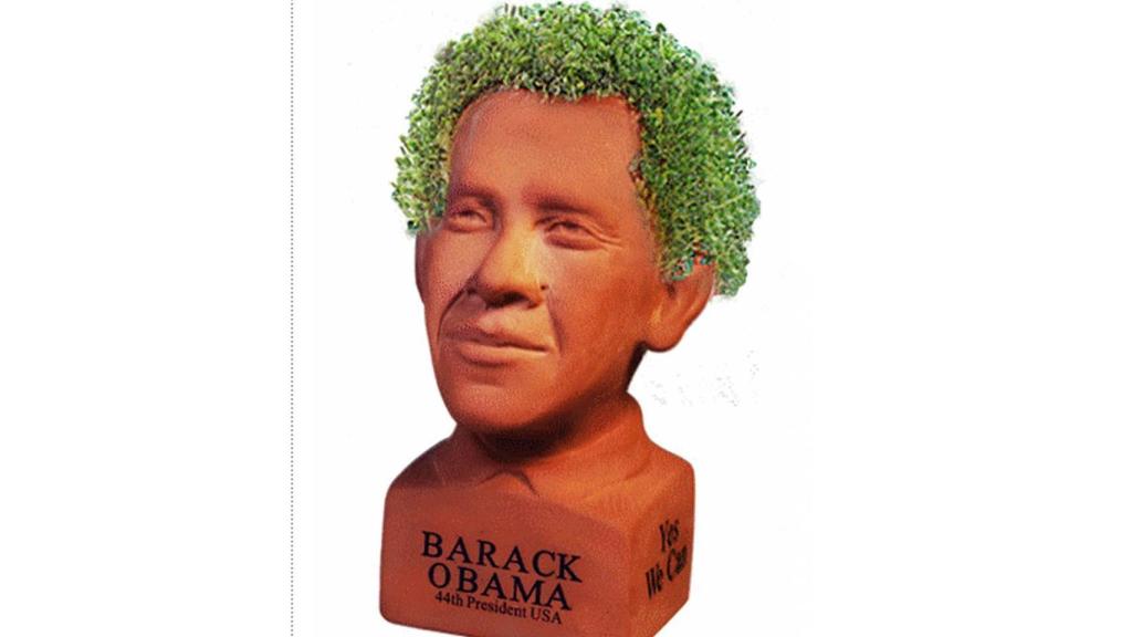 El 'chia pet' de Obama.