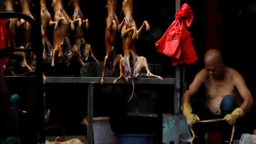 Perros para la venta en un puesto durante el festival de carne de perro de 2018 en Yulin, China.