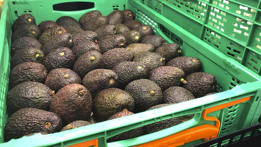 Una caja de Mercadona llena de aguacates.