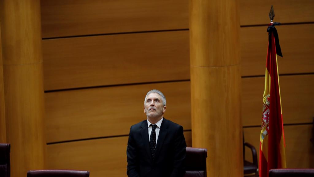 Fernando Grande-Marlaska, ministro del Interior, en el Senado.