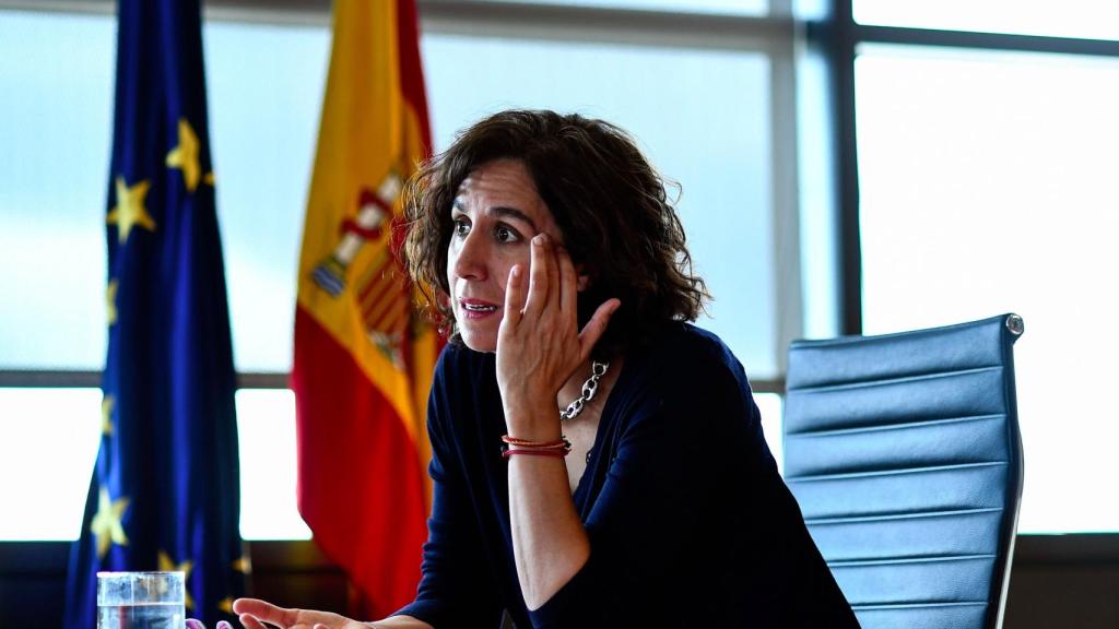 Irene Lozano, durante una reunión