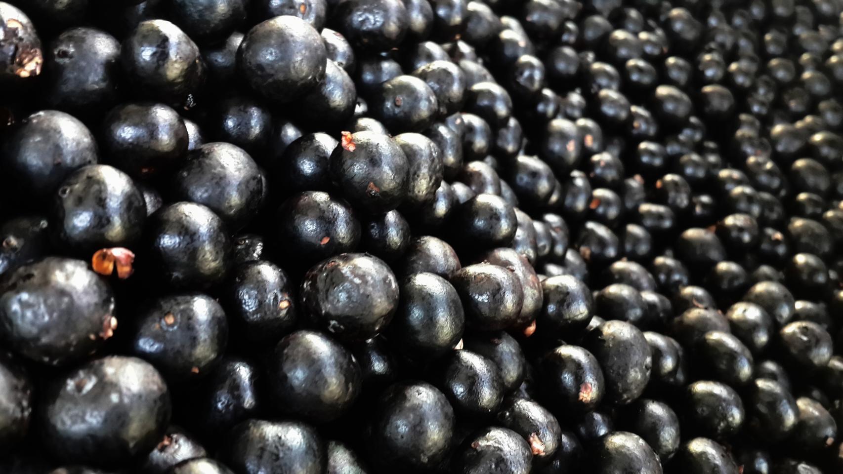 Açaí listo para ser prensado y convertido en zumo. Marajonida / Wikimedia Commons.