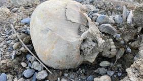Fuentes forenses sostienen que los restos óseos corresponden con la anciana desaparecida en 2018.