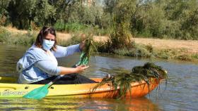 La alcaldesa de Talavera, Tita García Élez, este domingo en la limpieza del río Tajo
