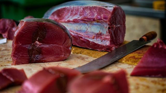 Dos piezas grandes piezas de atún para hacer filetes.