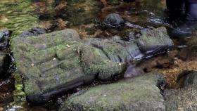 Detalle de una estatua de una virgen de estilo gótico hallada sobre el lecho del río Sar a su paso por el barrio de Conxo en Santiago de Compostela.