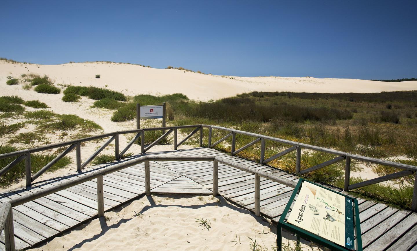 Dunas de Corrubedo. Foto: Turismo de Galicia