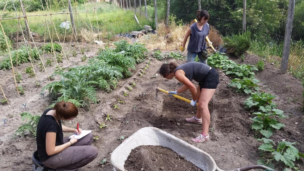 Excavaciones de un canal de riego medieval en el pueblo de Molina de Aragón.