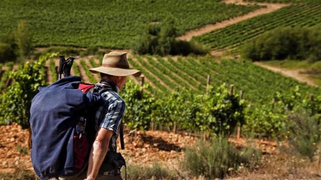 camino de santiago