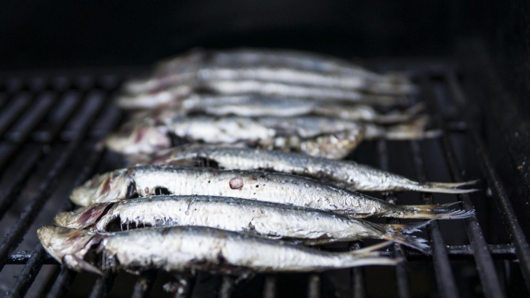 sardinas san juan