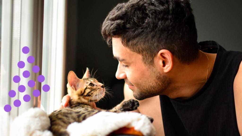 Un hombre jugando con un gato.