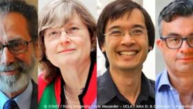 Cuatro matemáticos, Meyer, Daubechies, Tao y Candé, Premio Princesa de Asturias de Investigación