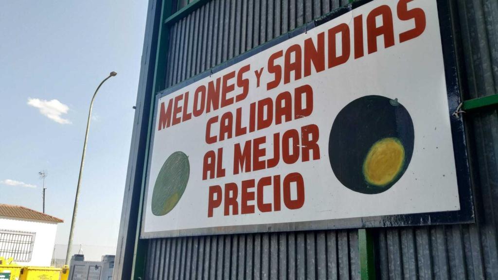 Hay en torno a 100 familias meloneras en Villaconejos.
