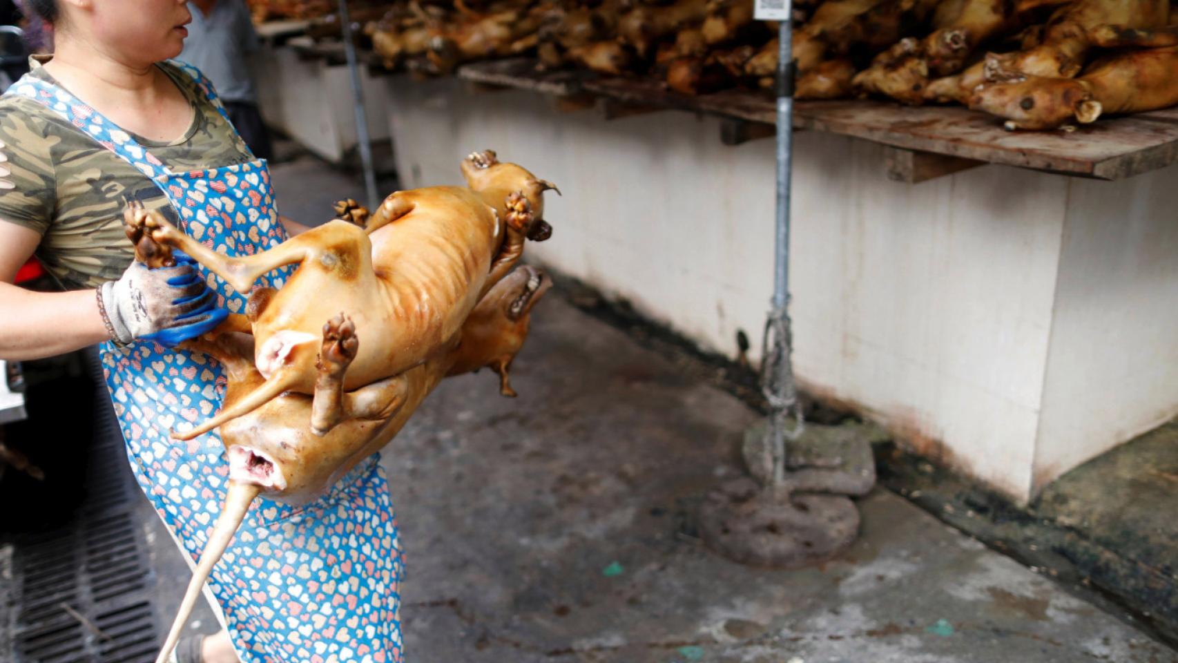 Imagen de archivo del famoso festival de carne de perro en la ciudad china de Yulin.